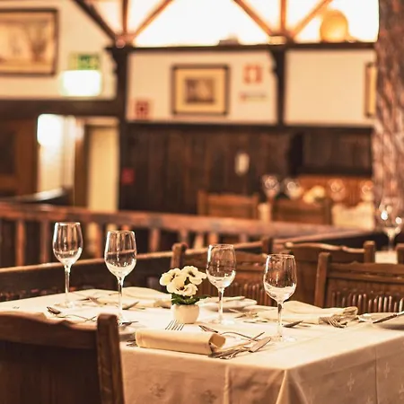 萨那里克斯酒店 酒店 3*