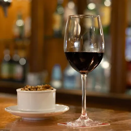 萨那里克斯酒店 3* Lisboa