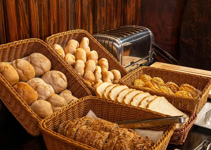 Sana Rex ליסבון